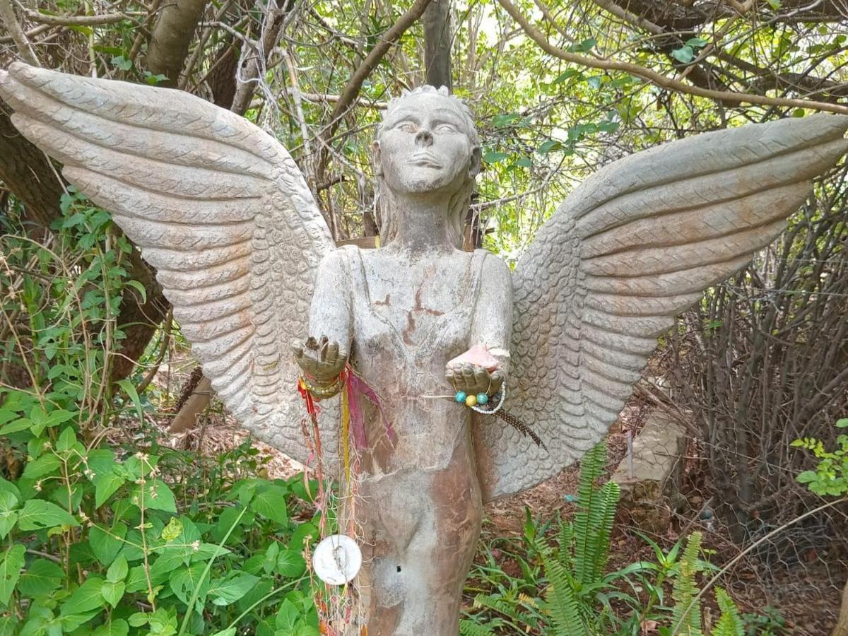 Temenos Retreat 호텔 맥그리거 외부 사진